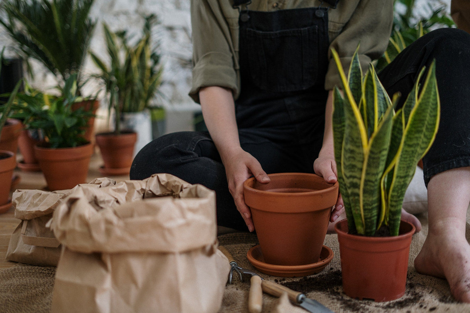 Garden Supplies