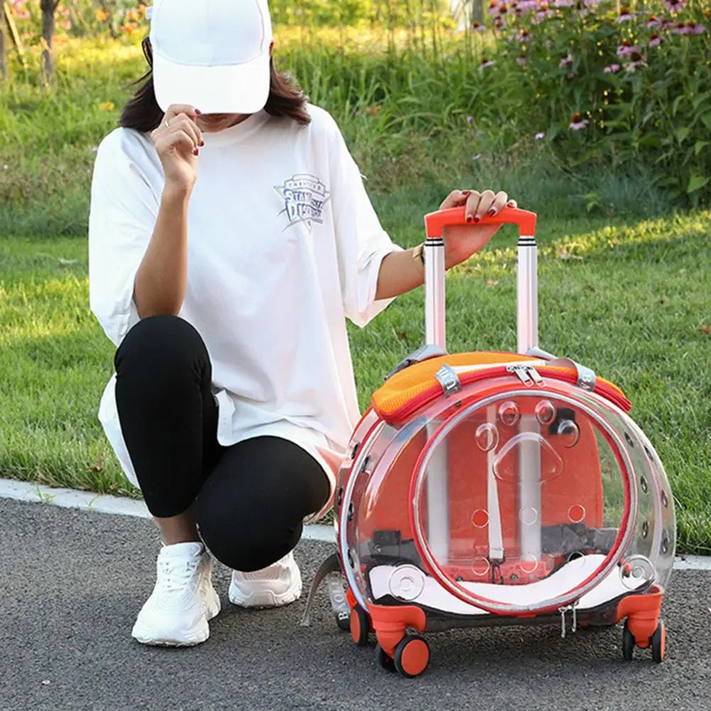 Pet Trolley Case With Ventilation Holes And Silent Wheels