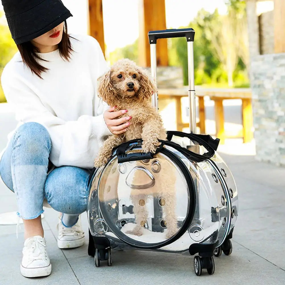 Pet Trolley Case With Ventilation Holes And Silent Wheels